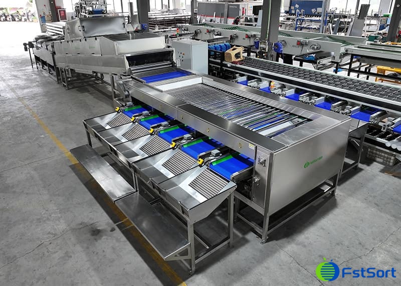 sweet potato sorting grading lines.jpg sweet potato sorting grading lines.jpg